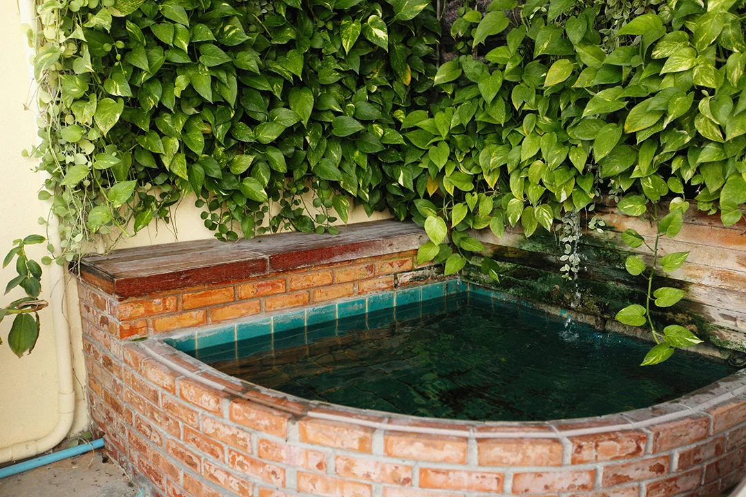 Kolam Ikan Minimalis
